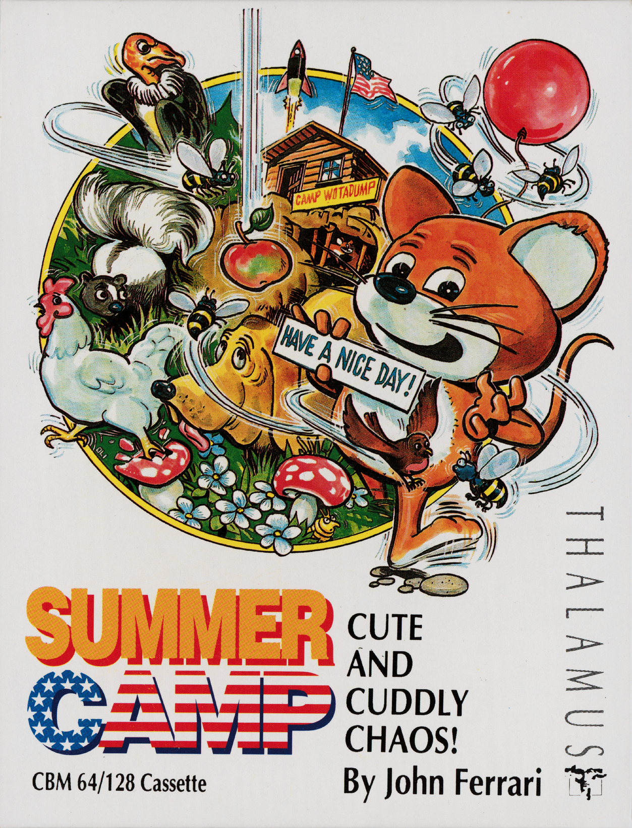 Summer Camp